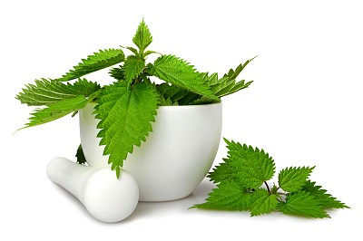 Nettle, and Mortar and Pestle